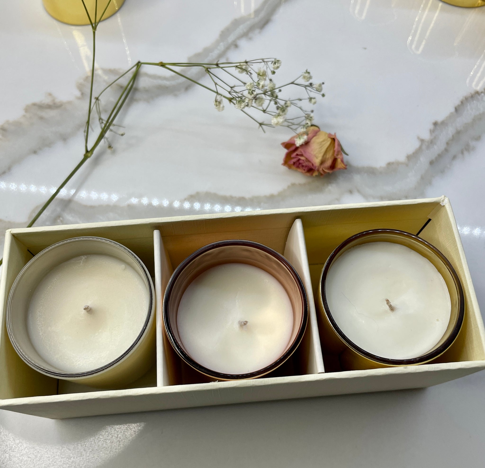 Wood Wick Candle Gift Set | Candle Trio Fall Fragrances - Chickenmash Farm